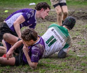 _nz81272-avec_accentuation-bruit.jpg - JPEG - 333.8 ko - 1024×862 px