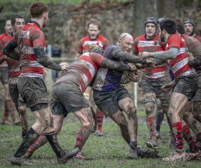 04022024-_nz88140-avec_accentuation-bruit.jpg - JPEG - 910.1 ko - 1024×858 px