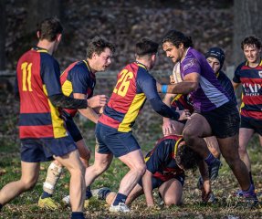 _nz86977.jpg - JPEG - 284.1 ko - 1024×859 px