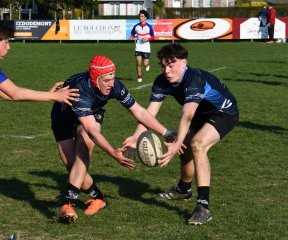 dsc_1284-3.jpg - JPEG - 439.4 ko - 1500×1250 px