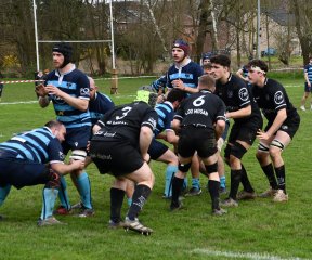 dsc_3716.jpg - JPEG - 453 ko - 1500×1254 px