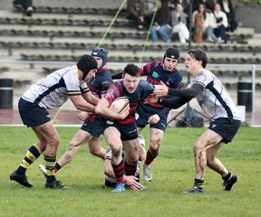 gp5f5288.jpg - JPEG - 608 ko - 2000×1672 px