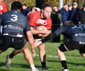 dsc_4028-2.jpg - JPEG - 221.5 ko - 2000×1325 px