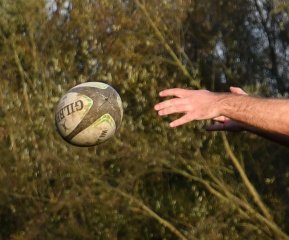 dsc_4116.jpg - JPEG - 169.6 ko - 2000×1325 px