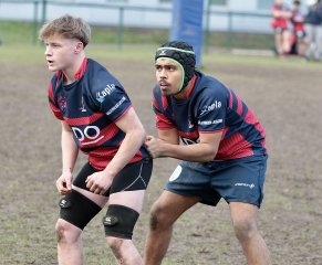 gp5f6887.jpg - JPEG - 446.8 ko - 2000×1651 px