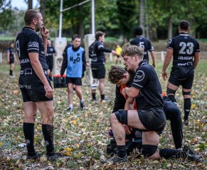 z63_4815.jpg - JPEG - 313 ko - 1024×846 px