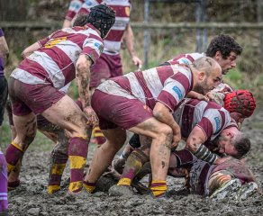 _nz81948-avec_accentuation-bruit.jpg - JPEG - 317 ko - 1024×844 px