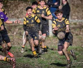 _nz88061.jpg - JPEG - 243.6 ko - 1024×839 px