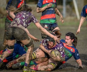 _nz88572.jpg - JPEG - 276.1 ko - 1024×839 px