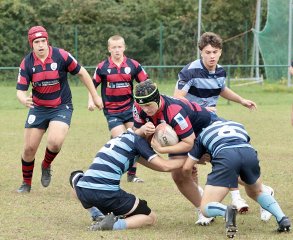 gp5f2329.jpg - JPEG - 598.2 ko - 2000×1641 px