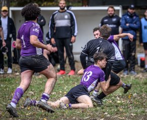 _nz86068.jpg - JPEG - 270.1 ko - 1024×835 px