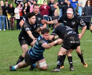 dsc_3848.jpg - JPEG - 305.3 ko - 1500×1218 px