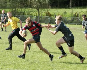 gp5f4309.jpg - JPEG - 615.5 ko - 2000×1618 px