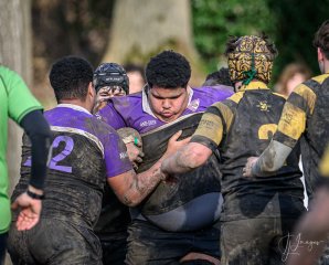 _nz88157-2.jpg - JPEG - 226.9 ko - 1024×825 px