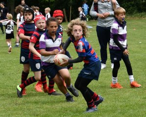 dsc_0627-5.jpg - JPEG - 379 ko - 1500×1212 px