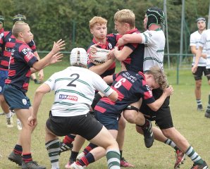 gp5f1381.jpg - JPEG - 563.2 ko - 2000×1615 px