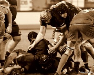 100-bj8a6275.jpg - JPEG - 456 ko - 2000×1608 px