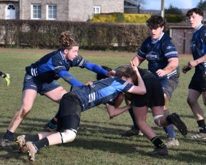 dsc_4838-2.jpg - JPEG - 691.5 ko - 2860×2302 px