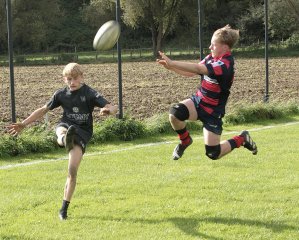 gp5f4069.jpg - JPEG - 958.9 ko - 2000×1607 px