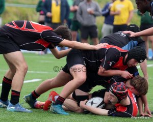 012-012-bj8a1451.jpg - JPEG - 273.2 ko - 1500×1200 px