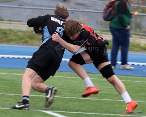 031-031-bj8a1486.jpg - JPEG - 219 ko - 1500×1203 px