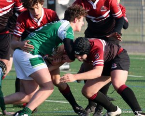 035-img_9689.jpg - JPEG - 297.4 ko - 1500×1202 px