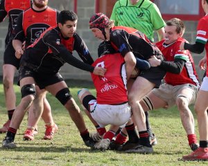 043-bj8a7528.jpg - JPEG - 1002.8 ko - 1509×1208 px