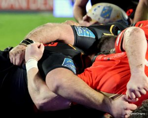 048-bj8a6126.jpg - JPEG - 366 ko - 2000×1603 px