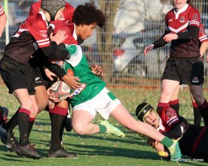 083-img_9876.jpg - JPEG - 325.9 ko - 1500×1202 px