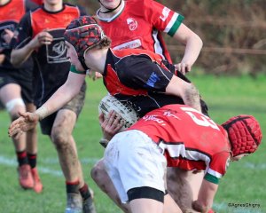 099-bj8a5161.jpg - JPEG - 257.7 ko - 1500×1203 px