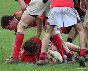 114-bj8a5187.jpg - JPEG - 316.2 ko - 1500×1203 px