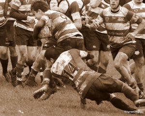 27-bj8a3889.jpg - JPEG - 306.9 ko - 1500×1203 px