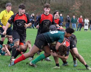 44-bj8a4695.jpg - JPEG - 323.7 ko - 1500×1202 px