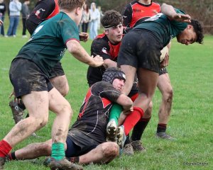 45-bj8a4697.jpg - JPEG - 327.3 ko - 1500×1203 px