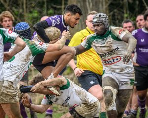 _nz81265-avec_accentuation-bruit.jpg - JPEG - 259.7 ko - 1024×820 px