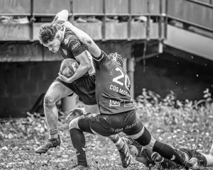 _nz86158.jpg - JPEG - 217.1 ko - 1024×820 px