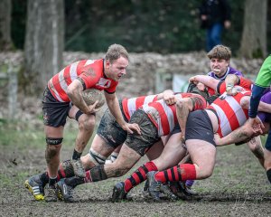 _nz87806.jpg - JPEG - 274.2 ko - 1024×821 px