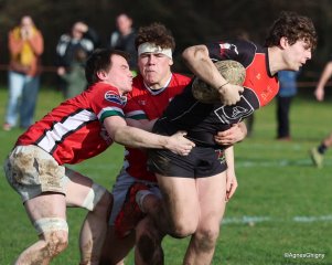 011-bj8a4995.jpg - JPEG - 234.9 ko - 1500×1198 px