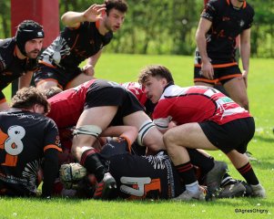 067-bj8a9376.jpg - JPEG - 477.1 ko - 2000×1598 px