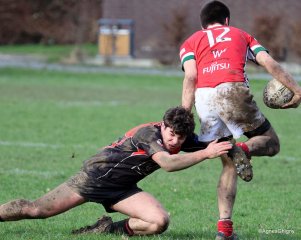 076-bj8a5115.jpg - JPEG - 253.5 ko - 1500×1198 px