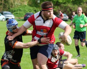 096-bj8a9452.jpg - JPEG - 439.1 ko - 2000×1598 px