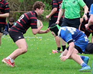 123-bj8a8428.jpg - JPEG - 333.3 ko - 1500×1198 px