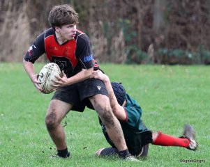 46-bj8a4702.jpg - JPEG - 259.8 ko - 1500×1199 px