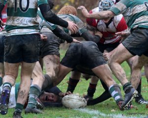 75-bj8a3956.jpg - JPEG - 324.9 ko - 1500×1197 px