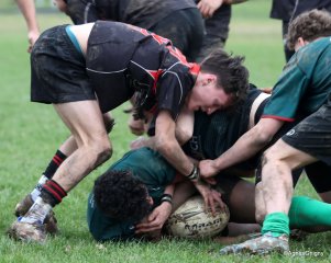 77-bj8a4753.jpg - JPEG - 262.5 ko - 1500×1199 px