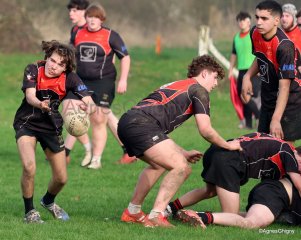 85-090-bj8a6829.jpg - JPEG - 494.2 ko - 2144×1712 px