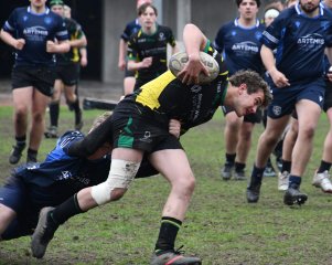 dsc_1893-2.jpg - JPEG - 286.1 ko - 1500×1197 px