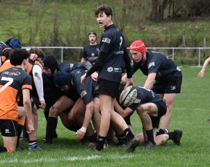 dsc_4535-6.jpg - JPEG - 302.2 ko - 1500×1193 px