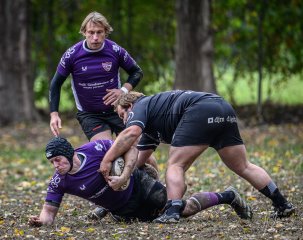 _nz86133.jpg - JPEG - 241.2 ko - 1024×812 px