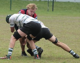 gp5f1515.jpg - JPEG - 445.3 ko - 2000×1586 px